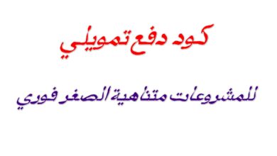 كود دفع تمويلي للمشروعات متناهية الصغر فوري