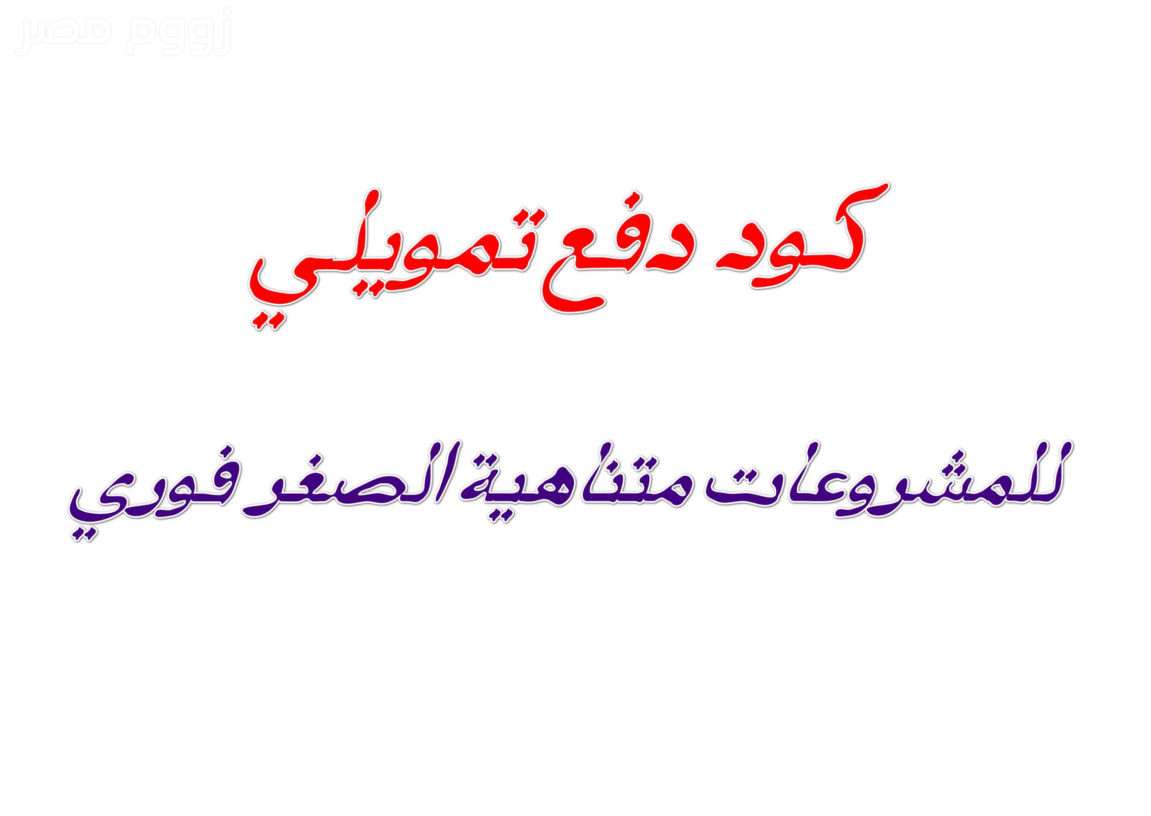 كود دفع تمويلي للمشروعات متناهية الصغر فوري