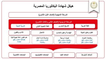 ملف شامل.. عن "نظام البكالوريا الجديد" كل ما تحتاج معرفته 25