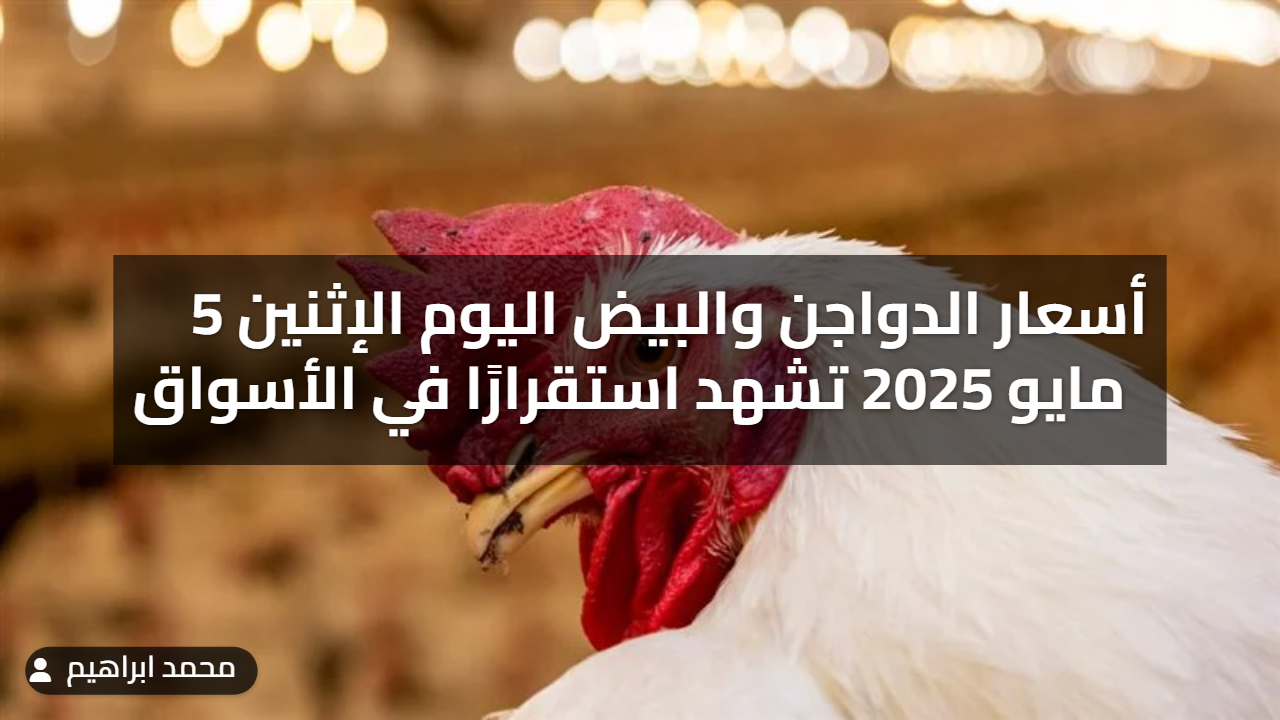 أسعار الدواجن والبيض اليوم الإثنين 5 مايو 2025 تشهد استقرارًا في الأسواق ) أسعار الدواجن والبيض اليوم الإثنين 5 مايو 2025 تشهد استقرارًا في الأسواق