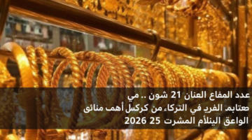 سعر الذهب عيار 21 اليوم في مصر.. استقرار مفاجئ في الصاغة خلال تعاملات الأحد 25 يناير 2026 95