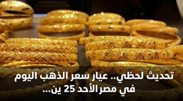 تحديث لحظي.. عيار سعر الذهب اليوم في مصر الأحد 25 يناير 2026 بالصاغة 33