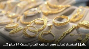 عاجل| استمرار تصاعد سعر الذهب اليوم السبت 24 يناير 2026 في الصاغة 12