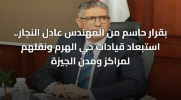 بقرار حاسم من المهندس عادل النجار.. استبعاد قيادات حي الهرم ونقلهم لمراكز ومدن الجيزة 7