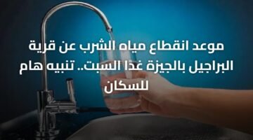 موعد انقطاع مياه الشرب عن قرية البراجيل بالجيزة غدًا السبت.. تنبيه هام للسكان 58