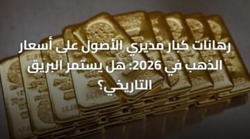 رهانات كبار مديري الأصول على أسعار الذهب في 2026: هل يستمر البريق التاريخي؟ 15