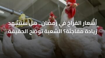 أسعار الفراخ في رمضان.. هل ستشهد زيادة مفاجئة؟ الشعبة توضح الحقيقة 14