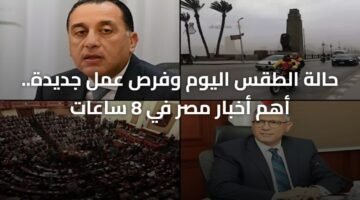 حالة الطقس اليوم وفرص عمل جديدة.. أهم أخبار مصر في 8 ساعات 3
