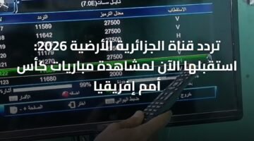 تردد قناة الجزائرية الأرضية 2026: استقبلها الآن لمشاهدة مباريات كأس أمم إفريقيا 3
