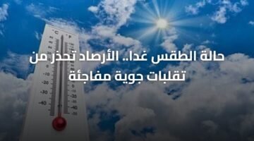 حالة الطقس غدا.. الأرصاد تحذر من تقلبات جوية مفاجئة 12