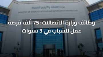وظائف وزارة الاتصالات: 75 ألف فرصة عمل للشباب في 3 سنوات 8