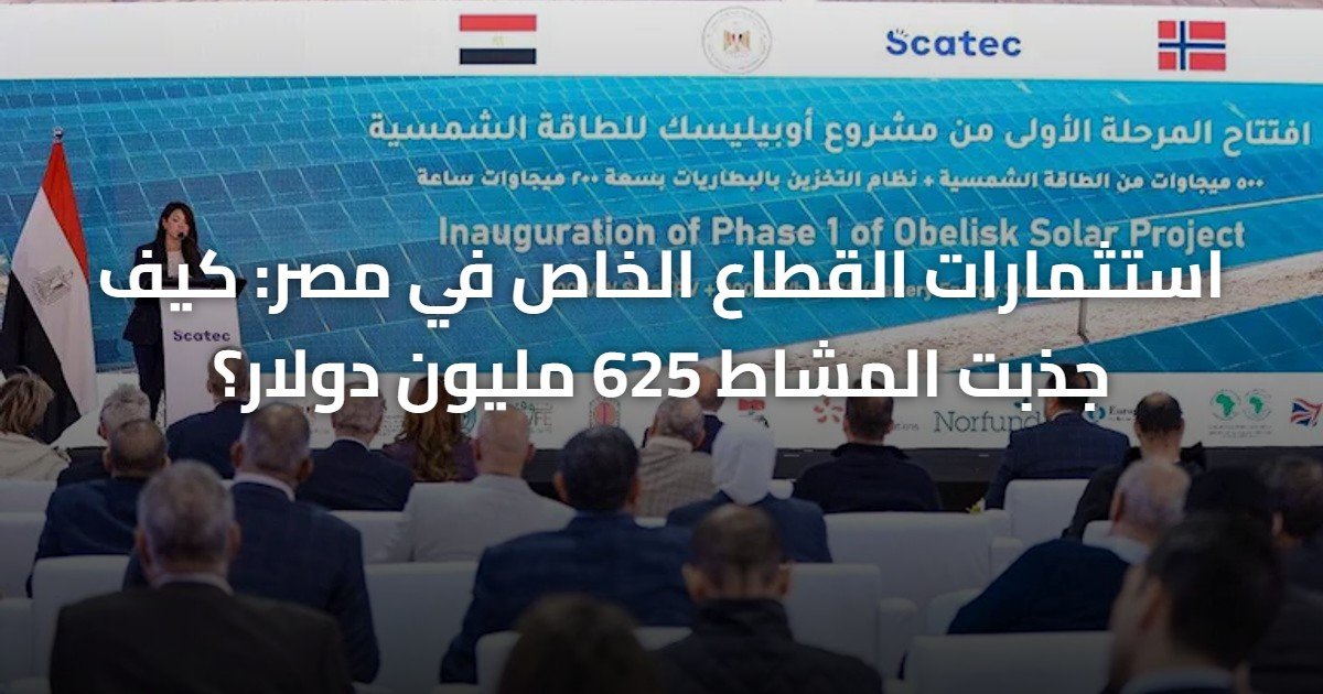 استثمارات القطاع الخاص في مصر: كيف جذبت المشاط 625 مليون دولار؟