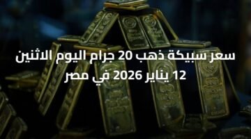 سعر سبيكة ذهب 20 جرام اليوم الاثنين 12 يناير 2026 في مصر 8