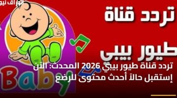 تردد قناة طيور بيبي 2026 المحدث: الآن إستقبل حالاً أحدث محتوى للرضع 6