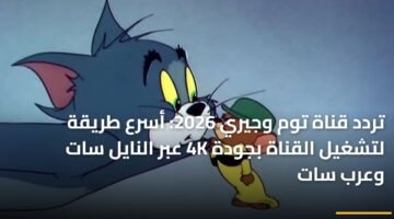 تردد قناة توم وجيري 2026: أسرع طريقة لتشغيل القناة بجودة 4K عبر النايل سات وعرب سات 11