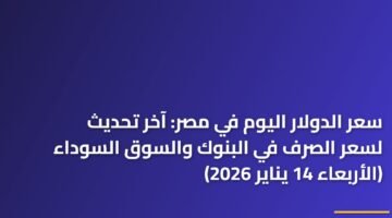 سعر الدولار اليوم في مصر: آخر تحديث لسعر الصرف في البنوك والسوق السوداء (الأربعاء 14 يناير 2026) 21