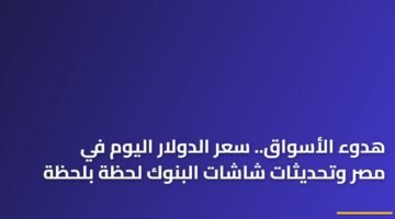 هدوء الأسواق.. سعر الدولار اليوم في مصر وتحديثات شاشات البنوك لحظة بلحظة 18