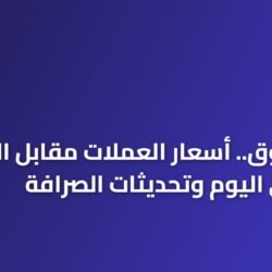 نبض السوق.. أسعار العملات مقابل الريال السعودي اليوم وتحديثات الصرافة المباشرة 20