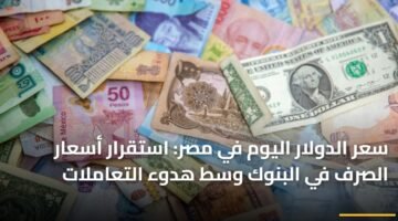 سعر الدولار اليوم في مصر: استقرار أسعار الصرف في البنوك وسط هدوء التعاملات ) سعر الدولار اليوم في مصر: استقرار أسعار الصرف في البنوك وسط هدوء التعاملات 117