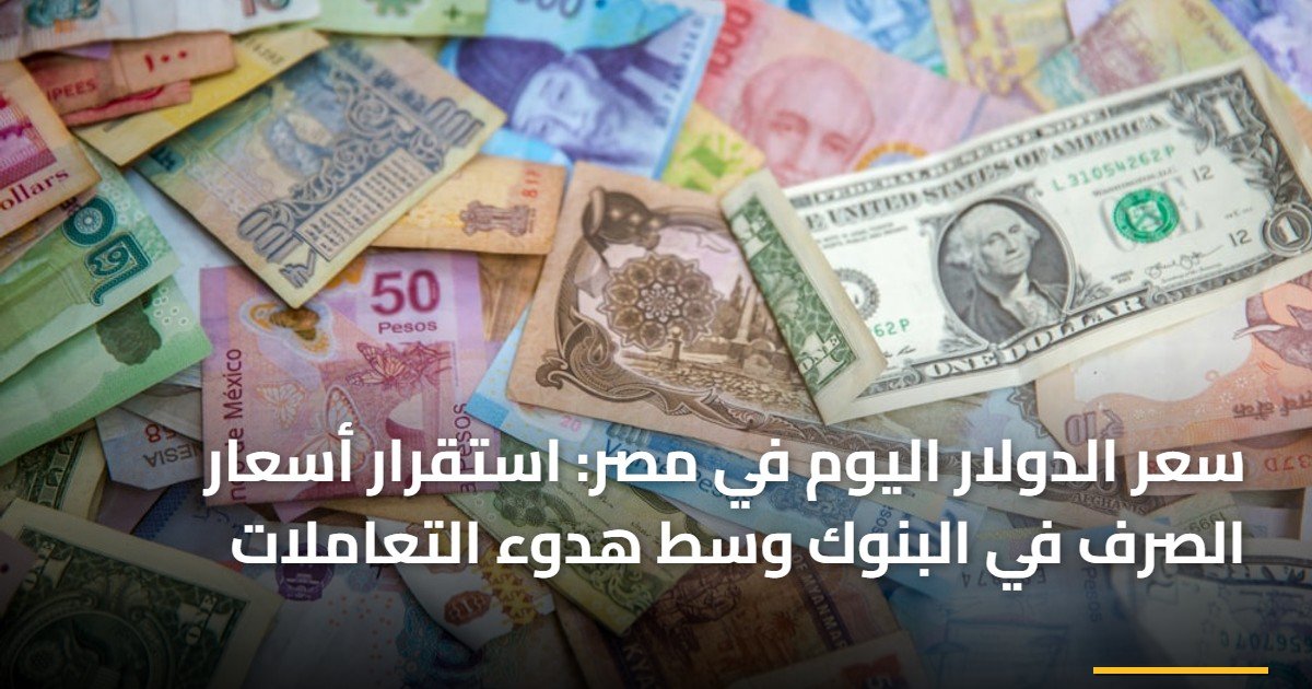 سعر الدولار اليوم في مصر: استقرار أسعار الصرف في البنوك وسط هدوء التعاملات