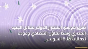 تقرير موسع: استقرار الدولار مقابل الجنيه المصري وسط تفاؤل اقتصادي وعودة تدفقات قناة السويس ) تقرير موسع: استقرار الدولار مقابل الجنيه المصري وسط تفاؤل اقتصادي وعودة تدفقات قناة السويس 96