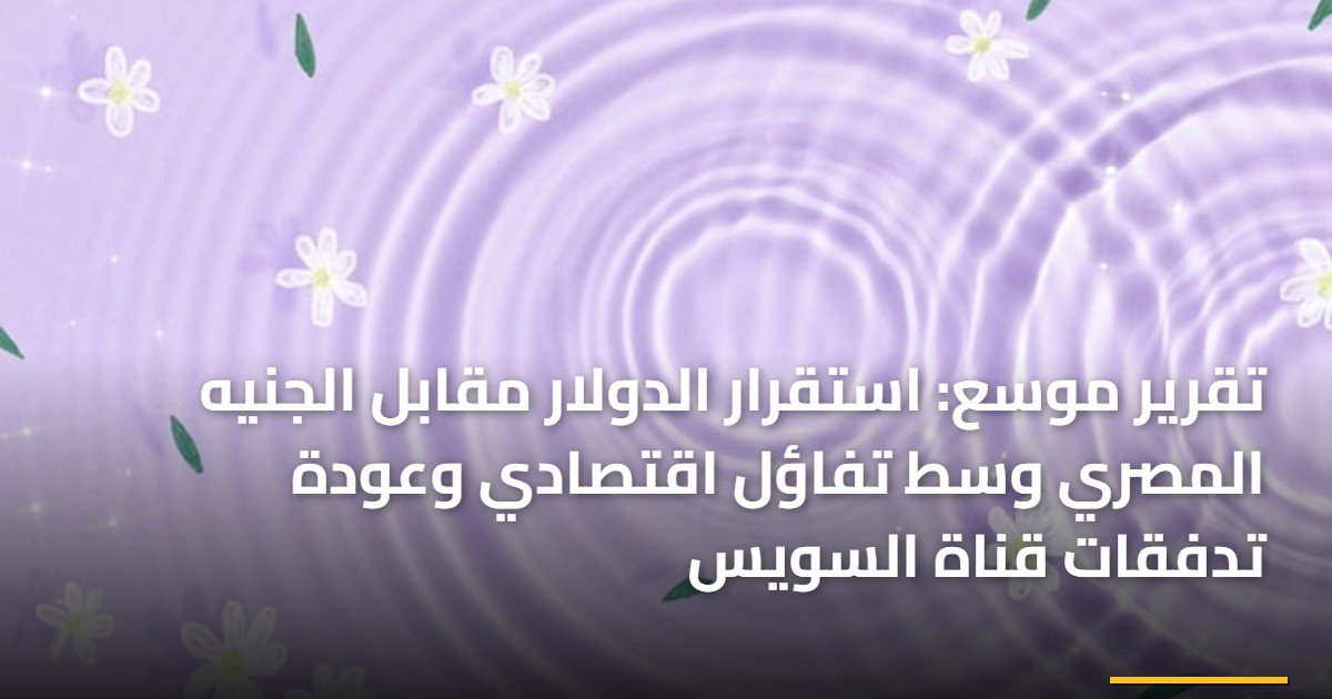تقرير موسع: استقرار الدولار مقابل الجنيه المصري وسط تفاؤل اقتصادي وعودة تدفقات قناة السويس