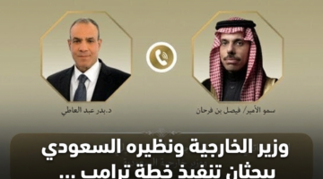 وزير الخارجية ونظيره السعودي يبحثان تنفيذ خطة ترامب في غزة 12