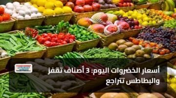 أسعار الخضروات اليوم: 3 أصناف تقفز والبطاطس تتراجع 102