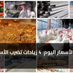 خريطة الأسعار اليوم: 4 زيادات تضرب الأسواق