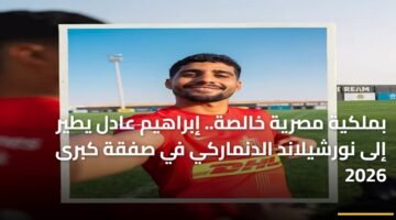 بملكية مصرية خالصة.. إبراهيم عادل يطير إلى نورشيلاند الدنماركي في صفقة كبرى 2026 83