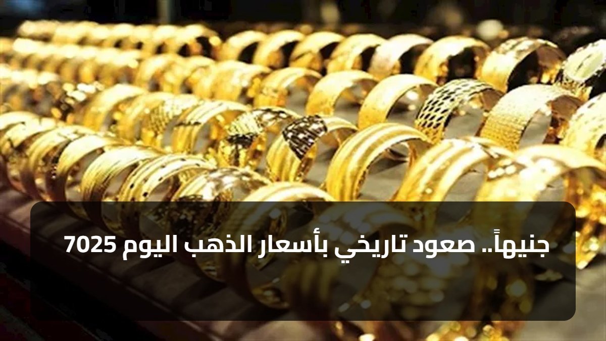 7025 جنيهاً.. صعود تاريخي بأسعار الذهب اليوم