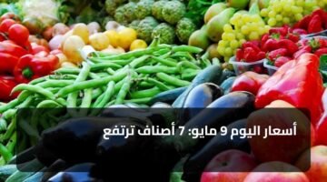 أسعار اليوم 9 مايو: 7 أصناف ترتفع 69