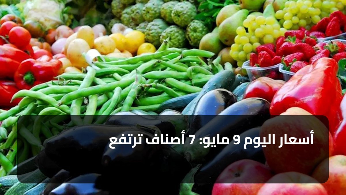 أسعار اليوم 9 مايو: 7 أصناف ترتفع