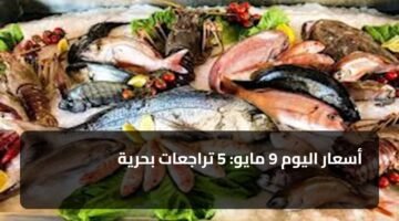 أسعار اليوم 9 مايو: 5 تراجعات بحرية 73
