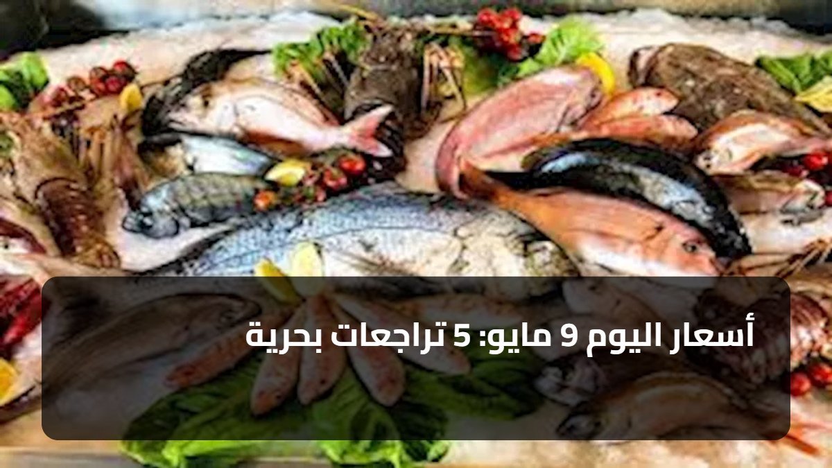 أسعار اليوم 9 مايو: 5 تراجعات بحرية
