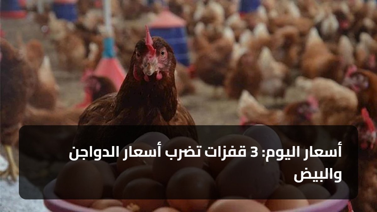 أسعار اليوم: 3 قفزات تضرب أسعار الدواجن والبيض