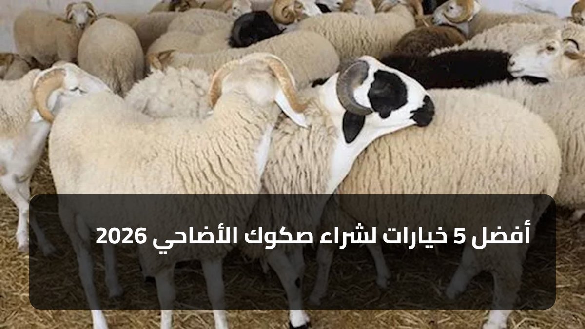 أفضل 5 خيارات لشراء صكوك الأضاحي 2026