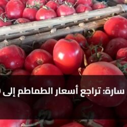 مفاجأة سارة: تراجع أسعار الطماطم إلى 30 جنيها