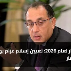 أهم قرار لعام 2026: تعيين إسلام عزام بهيئة الاستثمار