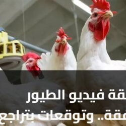 حقيقة فيديو الطيور النافقة.. وتوقعات بتراجع الأسعار 10%