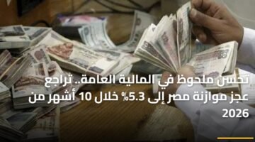 تحسن ملحوظ في المالية العامة.. تراجع عجز موازنة مصر إلى 5.3% خلال 10 أشهر من 2026 12