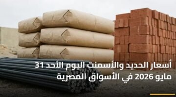 أسعار الحديد والأسمنت اليوم الأحد 31 مايو 2026 في الأسواق المصرية 9