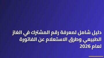 دليل شامل لمعرفة رقم المشترك في الغاز الطبيعي وطرق الاستعلام عن الفاتورة لعام 2026 10