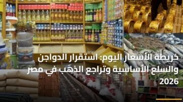 خريطة الأسعار اليوم: استقرار الدواجن والسلع الأساسية وتراجع الذهب في مصر 2026 9