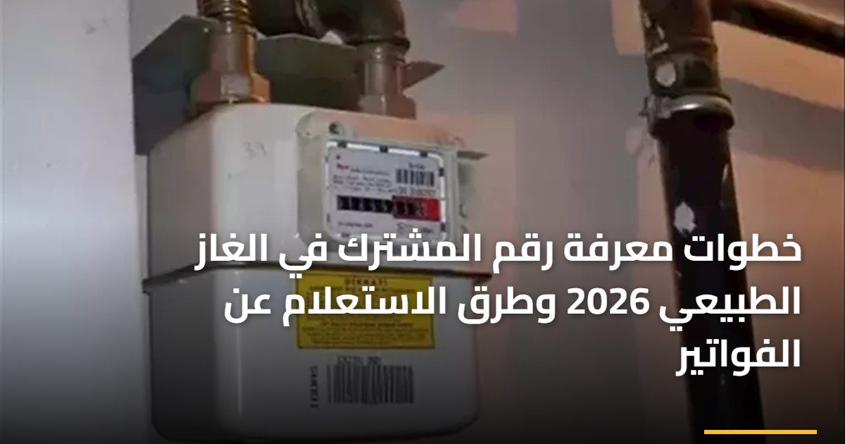 خطوات معرفة رقم المشترك في الغاز الطبيعي 2026 وطرق الاستعلام عن الفواتير