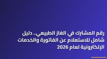 رقم المشترك في الغاز الطبيعي.. دليل شامل للاستعلام عن الفاتورة والخدمات الإلكترونية لعام 2026 9