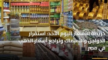 خريطة الأسعار اليوم الأحد: استقرار الدواجن والأسماك وتراجع أسعار الذهب في مصر 69