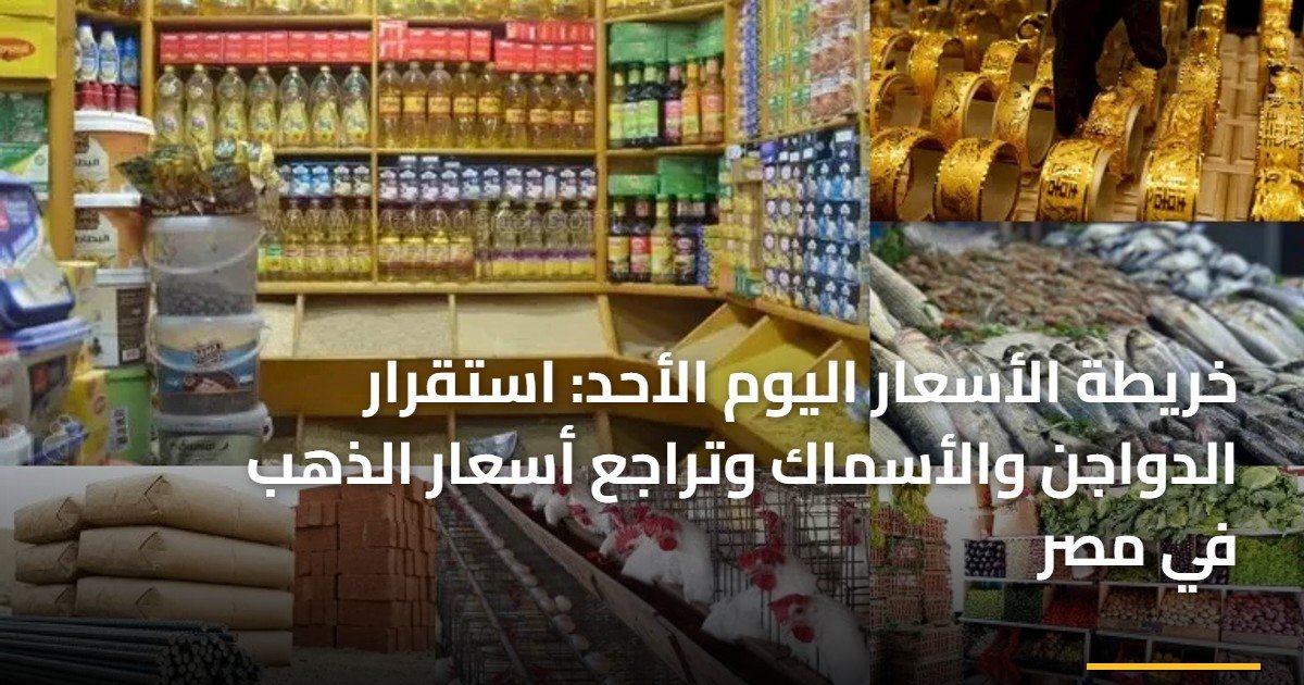 خريطة الأسعار اليوم الأحد: استقرار الدواجن والأسماك وتراجع أسعار الذهب في مصر