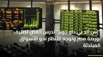 "إس آند بي داو جونز" تدرس خفض تصنيف بورصة مصر وتوجه الأنظار نحو الأسواق المبتدئة 9