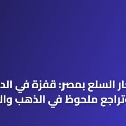 خريطة الأسعار اليومية للسلع والذهب في الأسواق المصرية